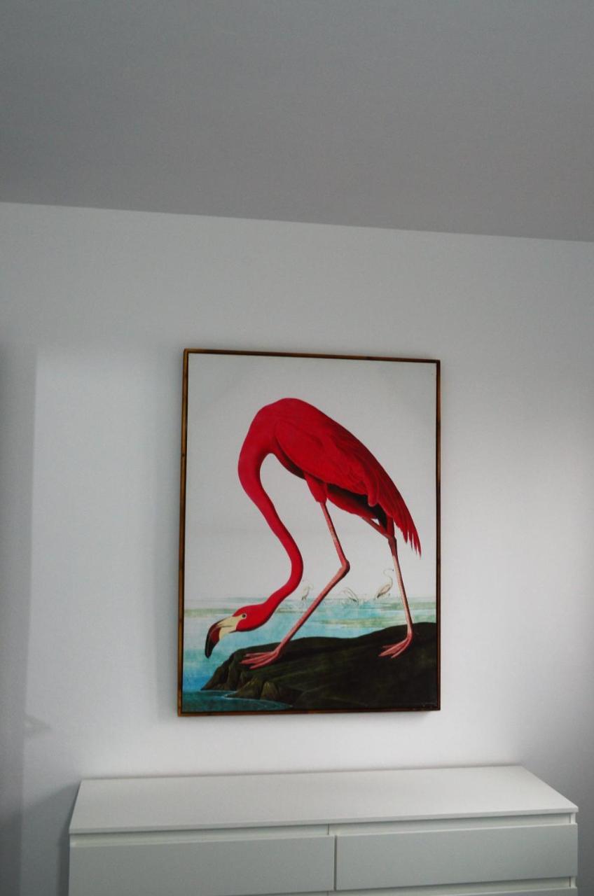 Apartamento Sauco Los Llanos De Aridane Zewnętrze zdjęcie